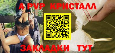 сатива Славгород