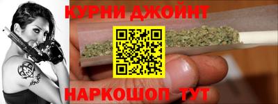 сатива Славгород