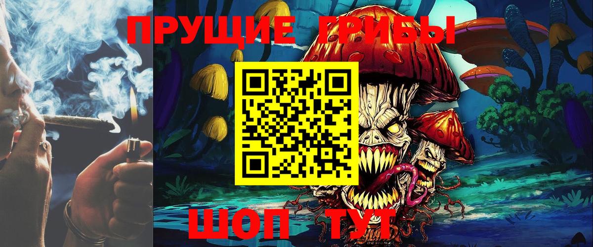 Новосибирск  Галлюциногенные грибы Cubensis  Вход с VPN 